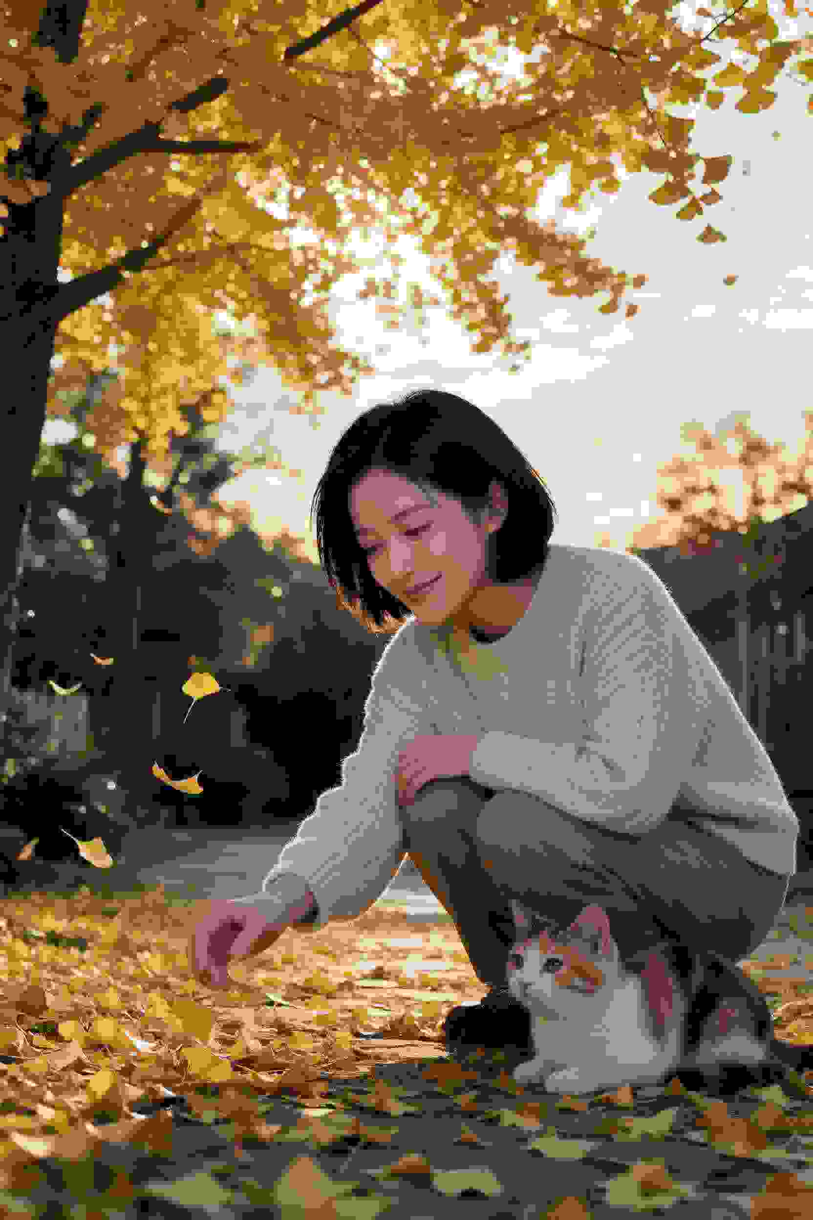 剑仙归来